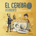 El cerebro humano. Explicado por Dr. Santiago Ramn y Cajal