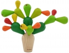 Cactus equilibrio