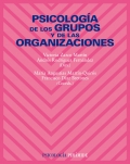Psicología de los grupos y de las organizaciones. 