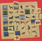 Puzzle Asociacin Hbitat Animales