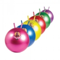 Pelota Kanguro antiexplosin (dimetro 55 cm)