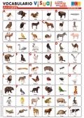 Lminas de vocabulario visual - Animales
