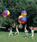 Pelota flotante 60 cm.