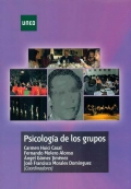 Psicolog�a de los grupos (Huici)