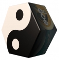 Yin Yang. Juego de estrategia